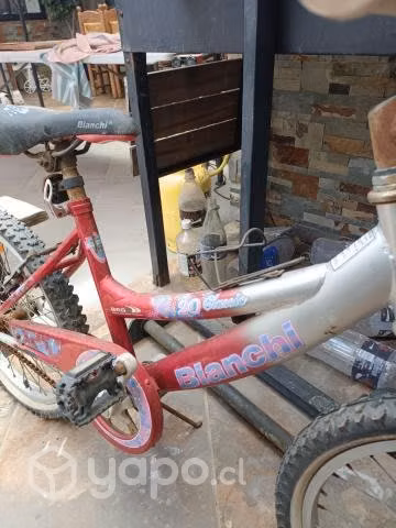 Bicicleta