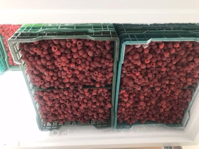 Frambuesas congeladas - Imagen 2