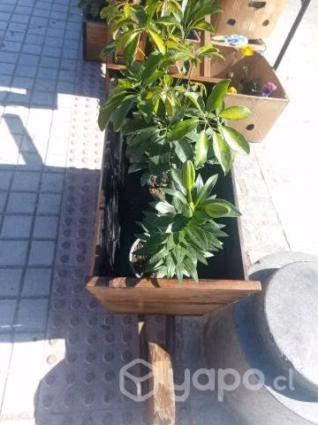 Macetero madera forma de carretilla