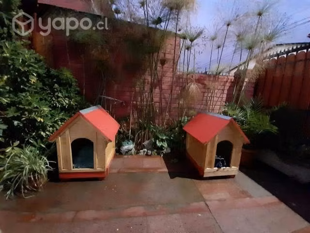 Casas para perro