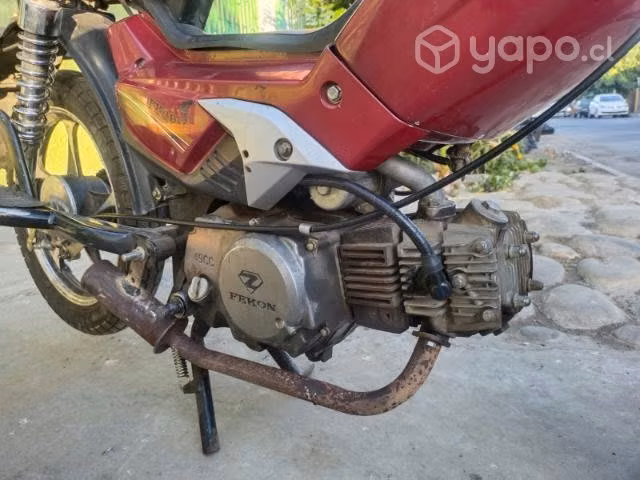 Bicimoto fekon