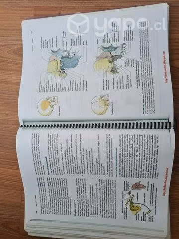 Libro de anatomía Moore