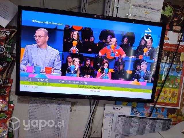 Tv