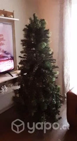 Bello árbol de Navidad mide 1metro 70 centímetros