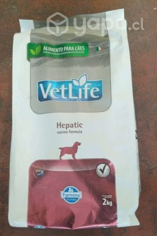 Alimento hepático para Perro - Imagen 2