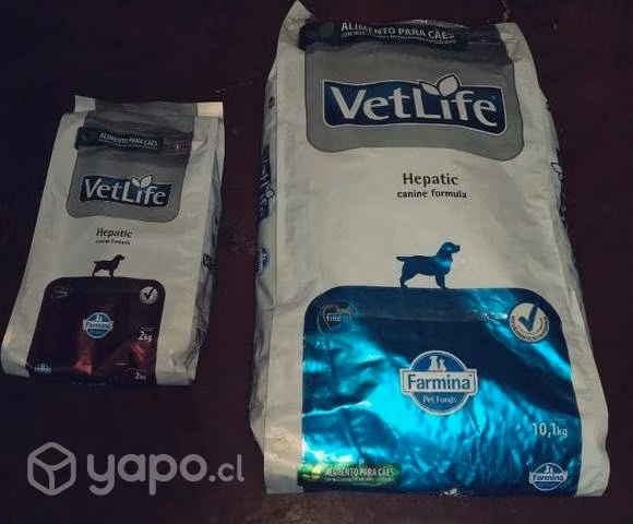 Alimento hepático para Perro - Imagen 3