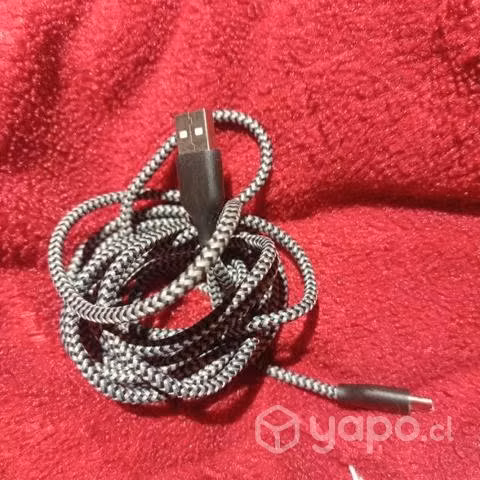 Cargador de 1M tipo C