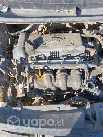 Culata kia rio 5 2015 usado