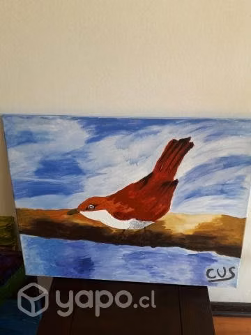 Cuadro pájaro rojo con blanco