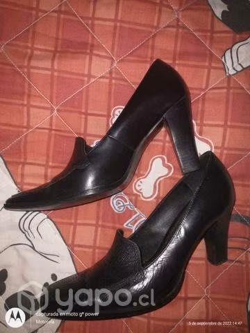 Zapatos Gacel