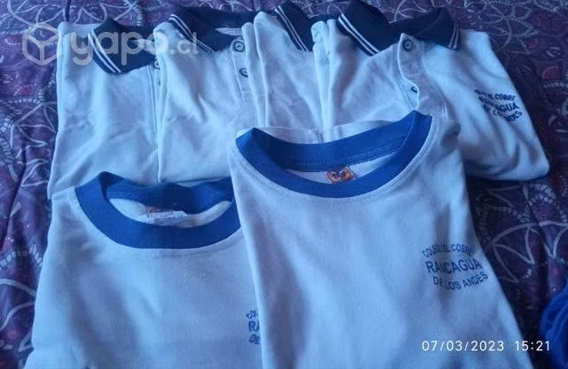 Uniformes del colegio el cobre de los andes