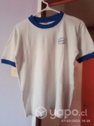 Uniformes del colegio el cobre de los andes