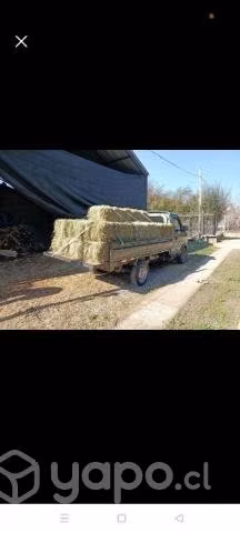 Fardos de alfalfa - Imagen 2
