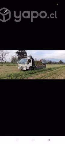 Fardos de alfalfa - Imagen 4