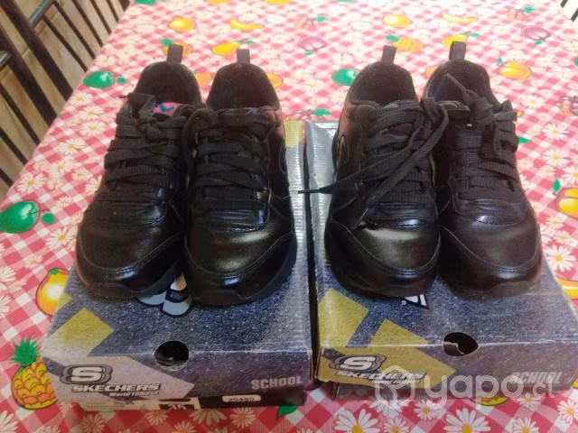 Zapato skechers