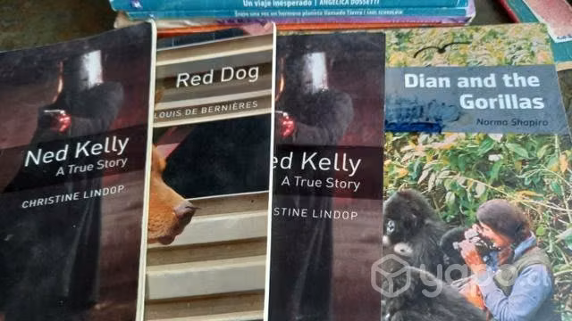 Libros en ingles lectura colegios