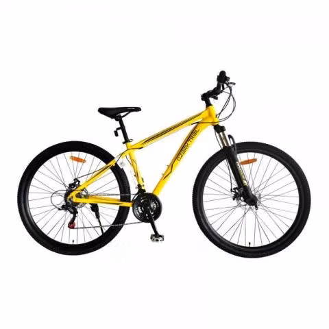 Bicicleta Aro 29 en Chillán