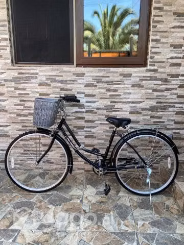 Lashen aro 28 paseo precio ocacion. Nueva