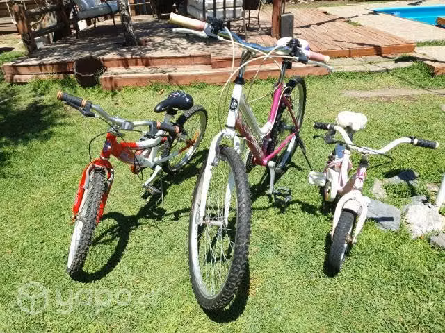 Lote Tres bicicletas mujer y niña