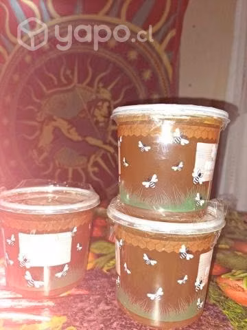 miel de ulmo por kilos, miel 100% natural