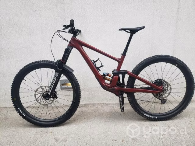 Specialized Enduro Tope de Línea