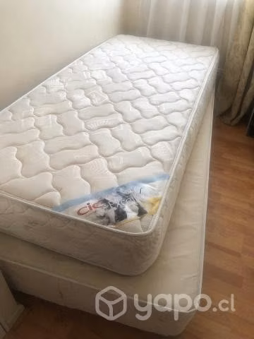 Cama CIC NUEVA