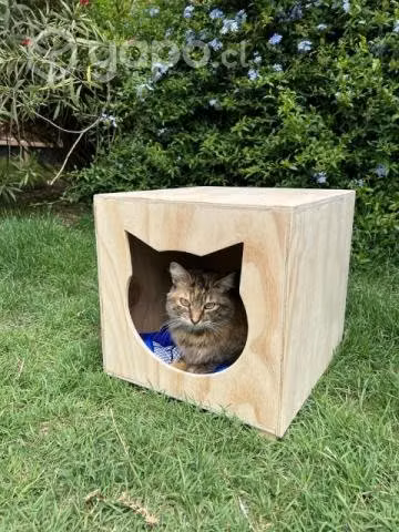 Casas de gato - Imagen 3