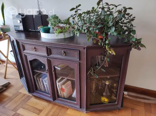 Vitrina antigua de madera nativa