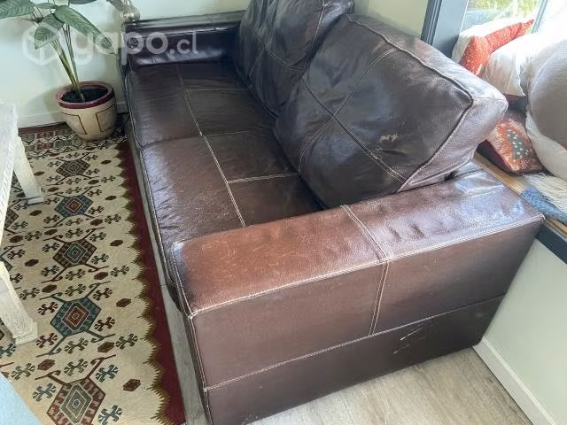 Sofa de Cuero