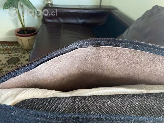 Sofa de Cuero