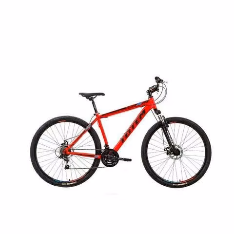 Bicicleta 29