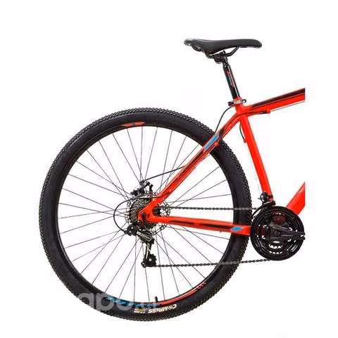 Bicicleta 29