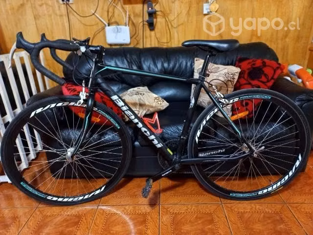 Pistera Bianchi