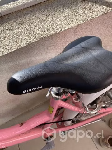 Bicicleta niña aro 20