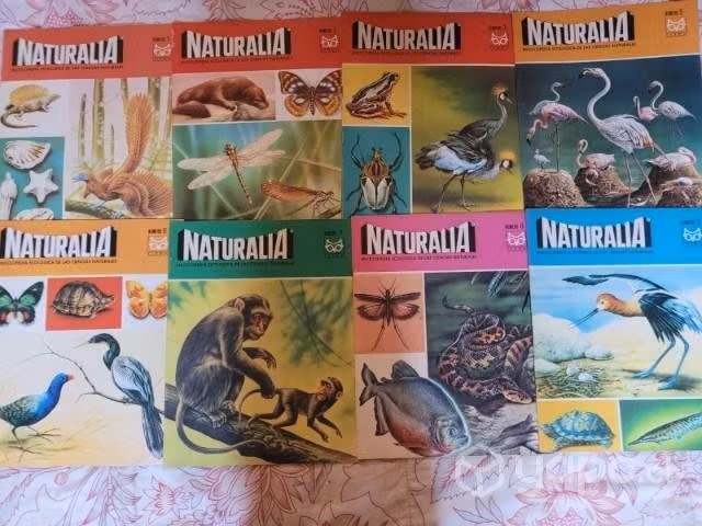 Libros