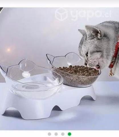 Comedero para Gatos y Perros raza p