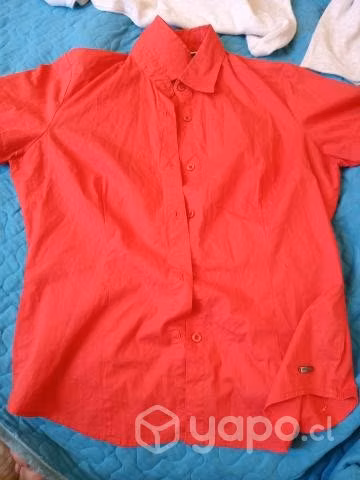 Lote de blusas