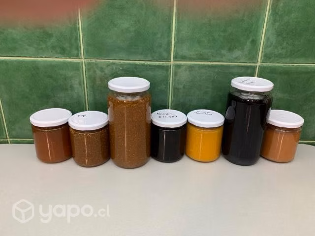 Mermeladas con fruta de la parcela, metro Tobalaba