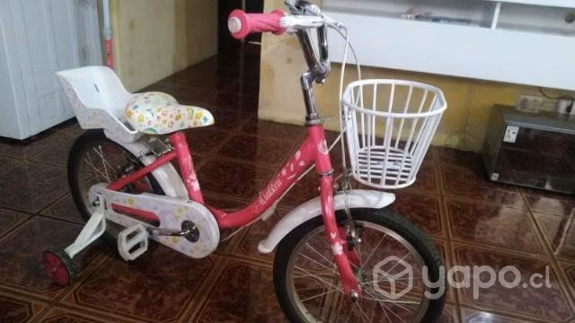Bicicleta - Imagen 2
