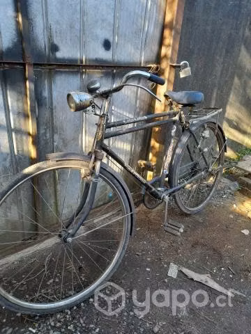 Bicicleta camello