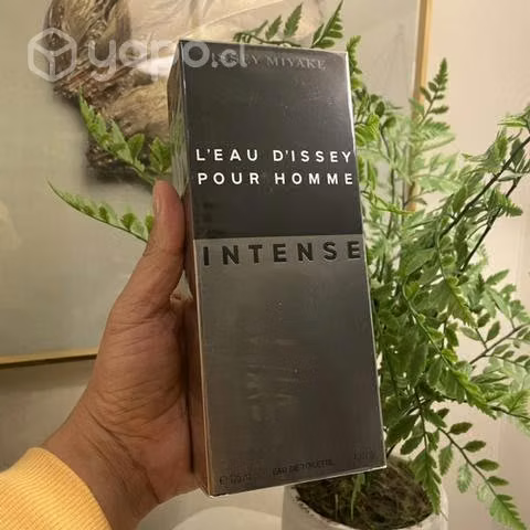 Issey Miyake Intense 100 ml
