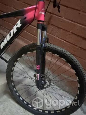 Bicicleta mountain bike