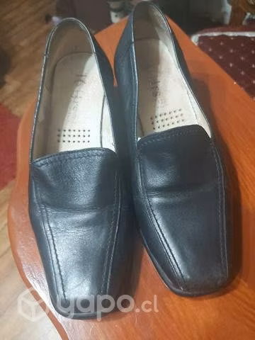 Zapato 16 hrs