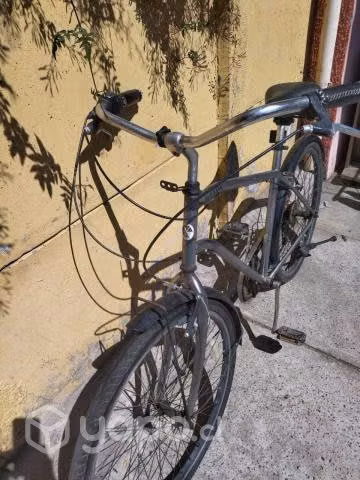 Bicicleta Playera