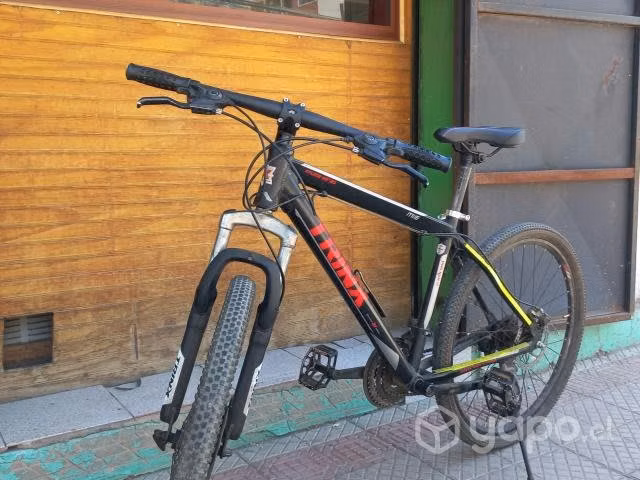 Trinx
