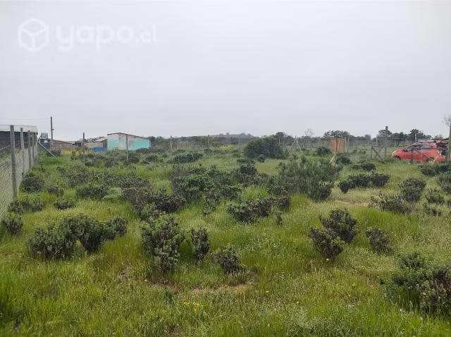 Terreno