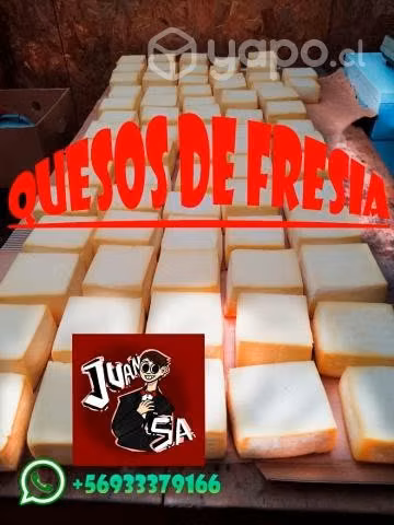 Quesos de fresia de alta calidad