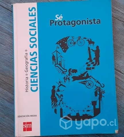 Libro santillana octavo basico