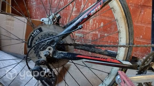 Bicicleta Oxford talla L