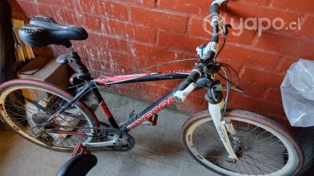 Bicicleta Oxford talla L